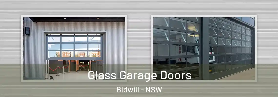 Glass Garage Doors Bidwill - NSW