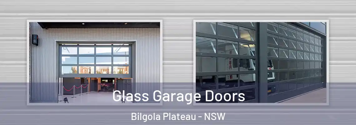 Glass Garage Doors Bilgola Plateau - NSW