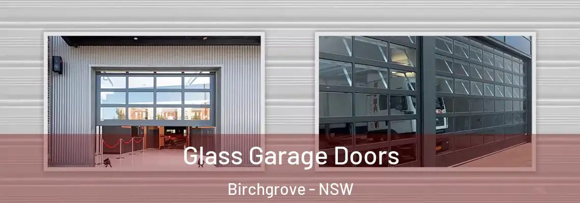 Glass Garage Doors Birchgrove - NSW