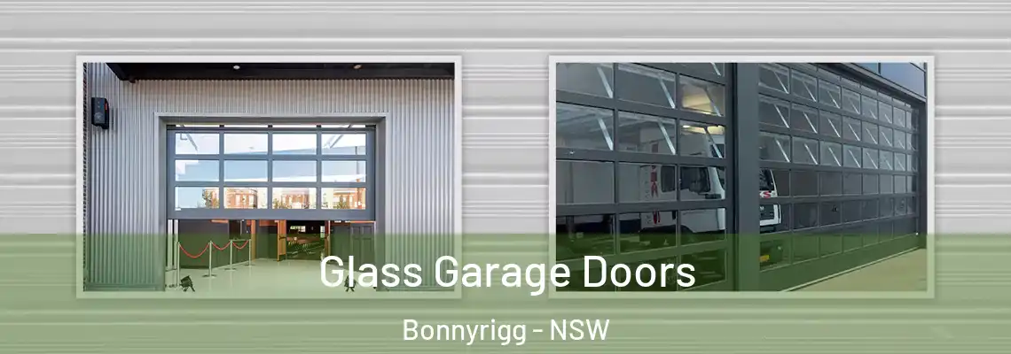 Glass Garage Doors Bonnyrigg - NSW
