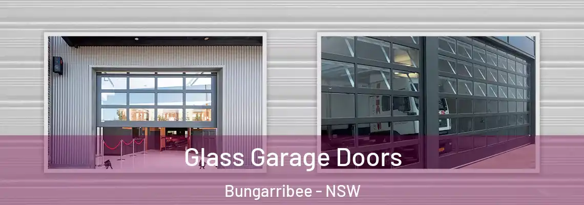  Glass Garage Doors Bungarribee - NSW