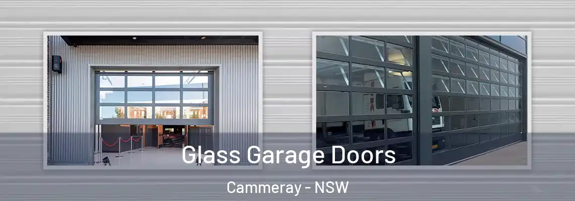  Glass Garage Doors Cammeray - NSW