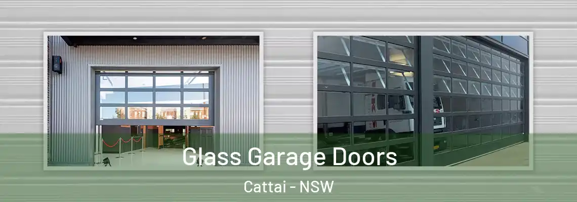  Glass Garage Doors Cattai - NSW