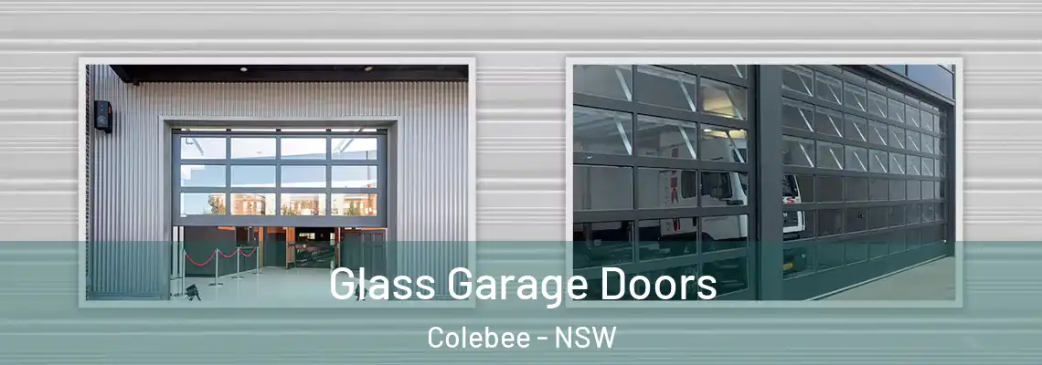  Glass Garage Doors Colebee - NSW