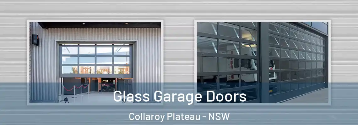 Glass Garage Doors Collaroy Plateau - NSW