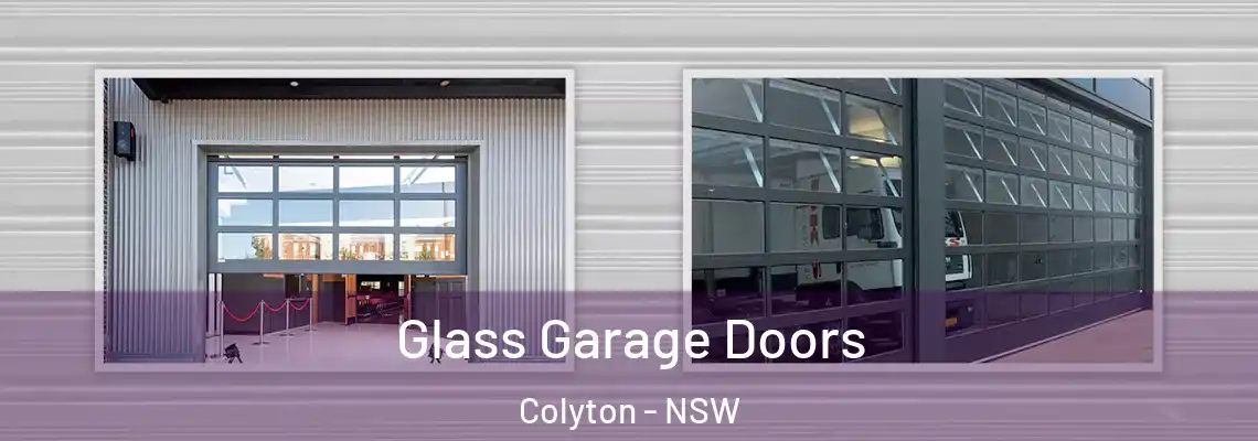 Glass Garage Doors Colyton - NSW