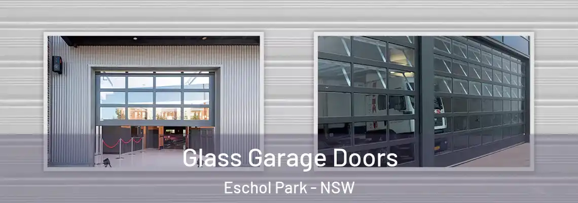  Glass Garage Doors Eschol Park - NSW