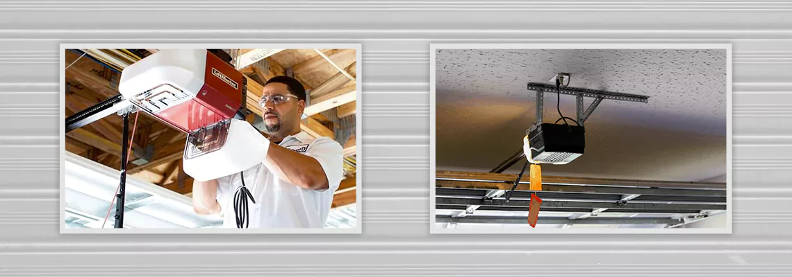 Residential Liftmaster Garage Door Openers Installation in Sydney, NSW