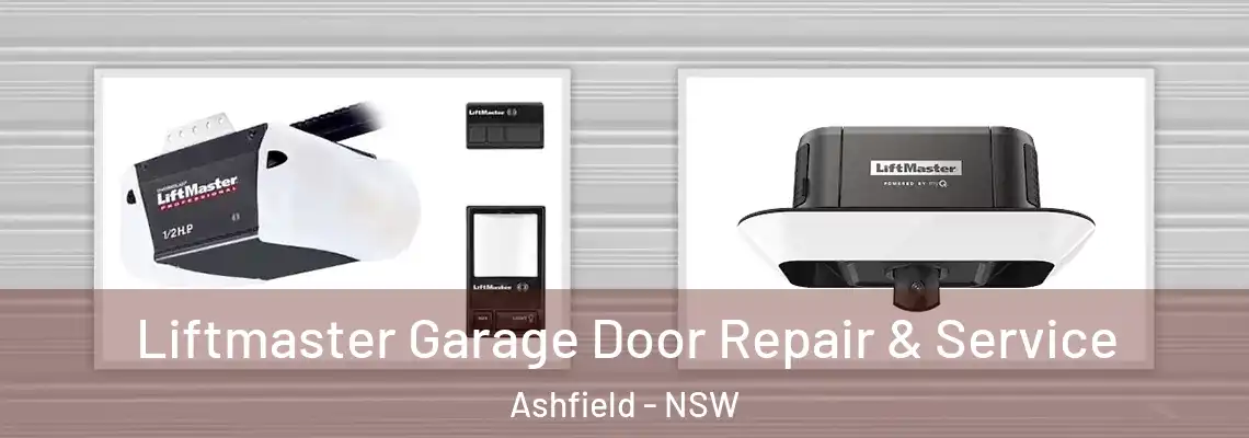 Liftmaster Garage Door Repair & Service Ashfield - NSW
