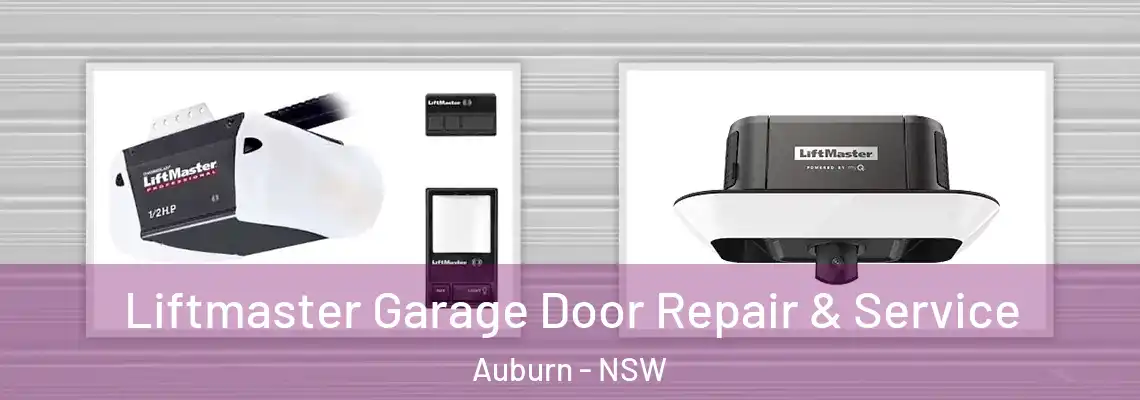 Liftmaster Garage Door Repair & Service Auburn - NSW