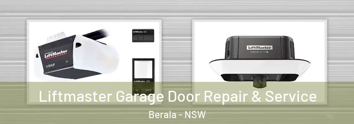 Liftmaster Garage Door Repair & Service Berala - NSW
