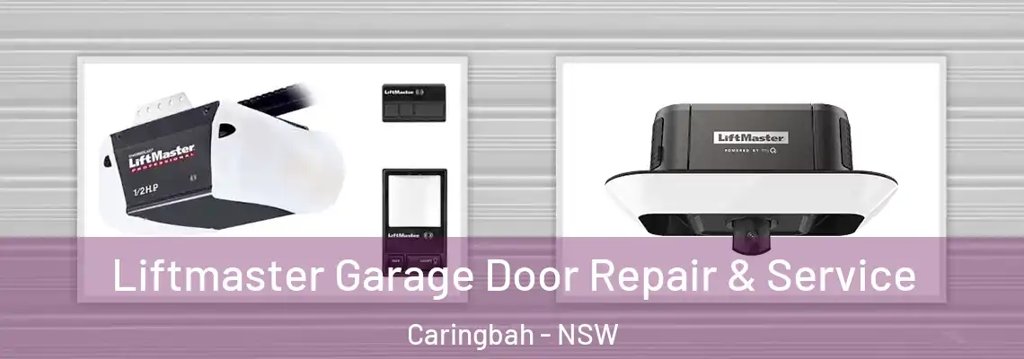 Liftmaster Garage Door Repair & Service Caringbah - NSW