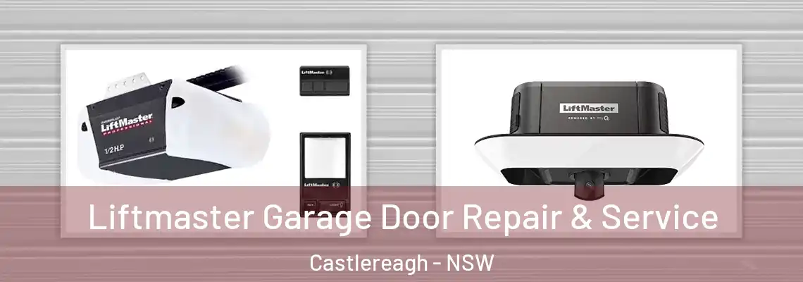 Liftmaster Garage Door Repair & Service Castlereagh - NSW