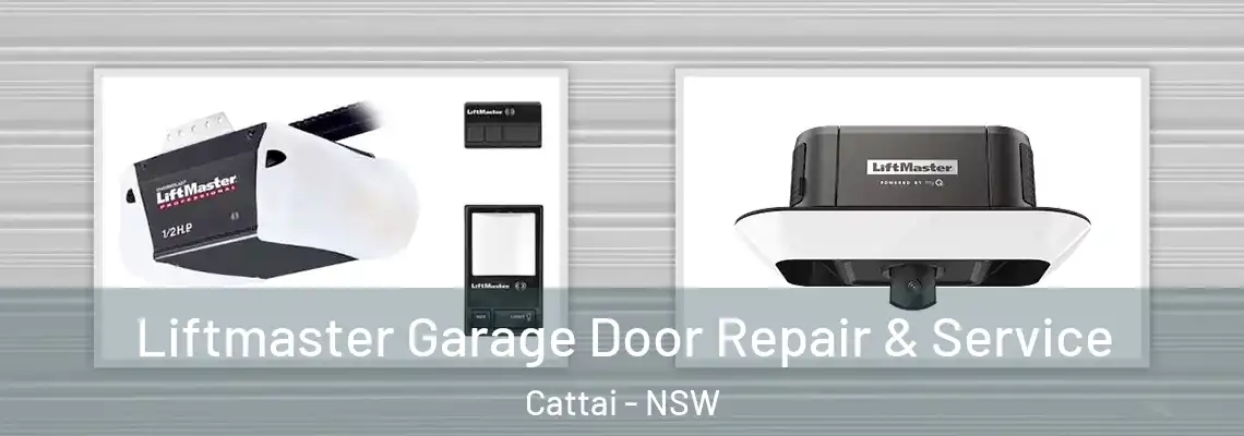 Liftmaster Garage Door Repair & Service Cattai - NSW