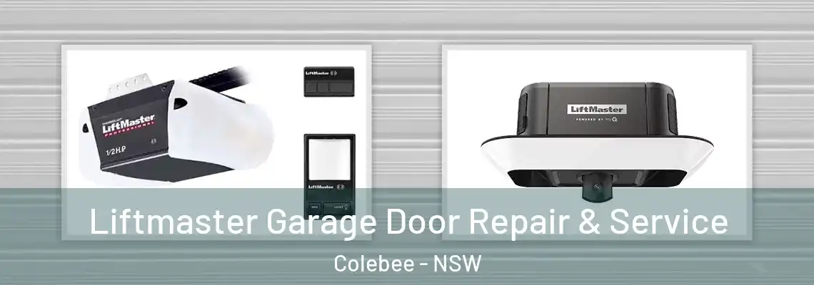  Liftmaster Garage Door Repair & Service Colebee - NSW