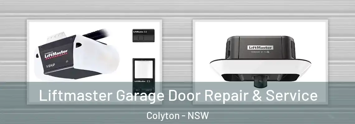 Liftmaster Garage Door Repair & Service Colyton - NSW