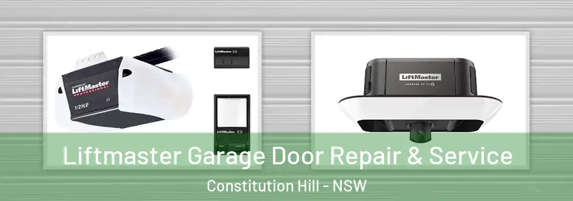 Liftmaster Garage Door Repair & Service Constitution Hill - NSW
