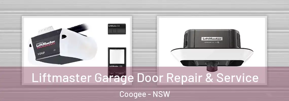 Liftmaster Garage Door Repair & Service Coogee - NSW