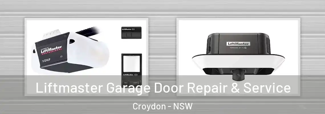 Liftmaster Garage Door Repair & Service Croydon - NSW