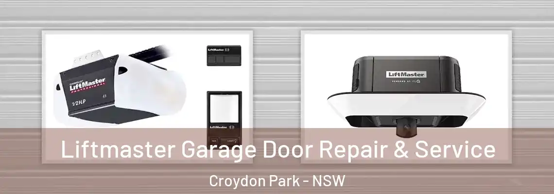 Liftmaster Garage Door Repair & Service Croydon Park - NSW