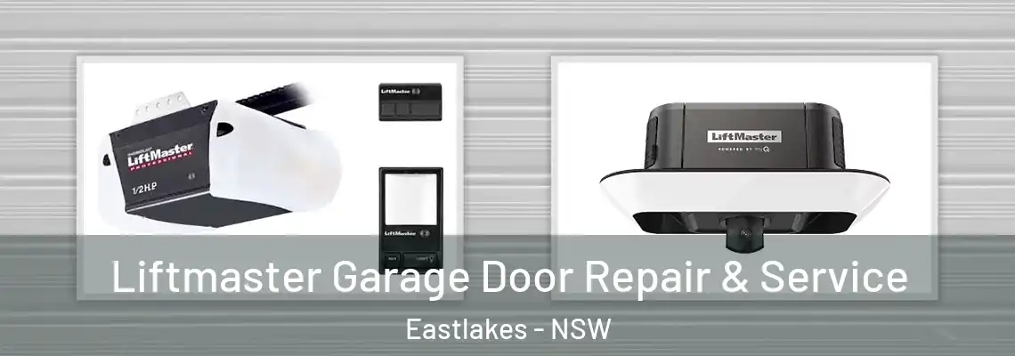 Liftmaster Garage Door Repair & Service Eastlakes - NSW