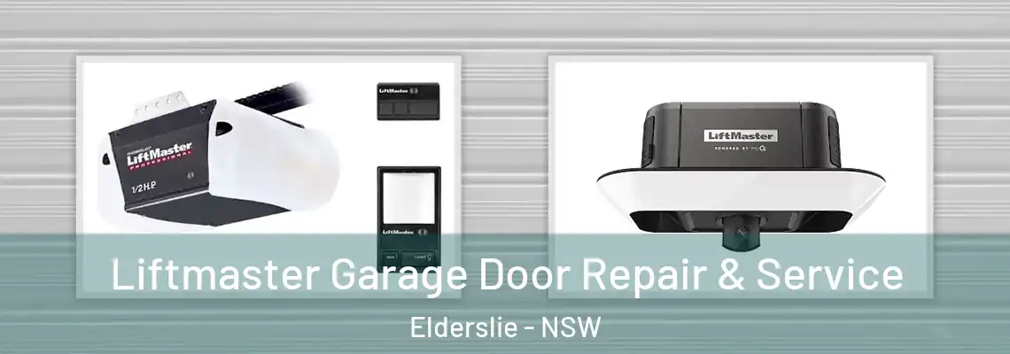 Liftmaster Garage Door Repair & Service Elderslie - NSW