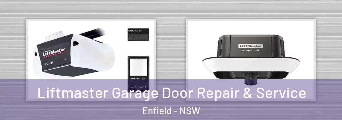 Liftmaster Garage Door Repair & Service Enfield - NSW