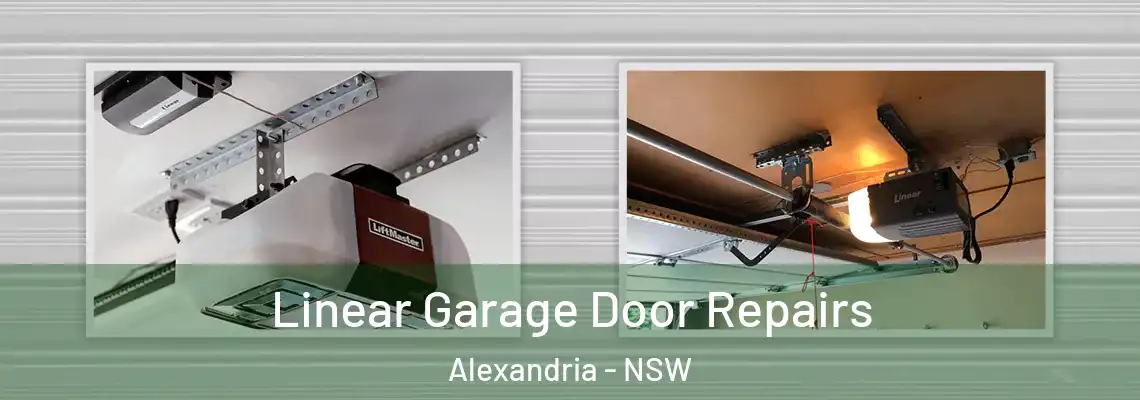 Linear Garage Door Repairs Alexandria - NSW