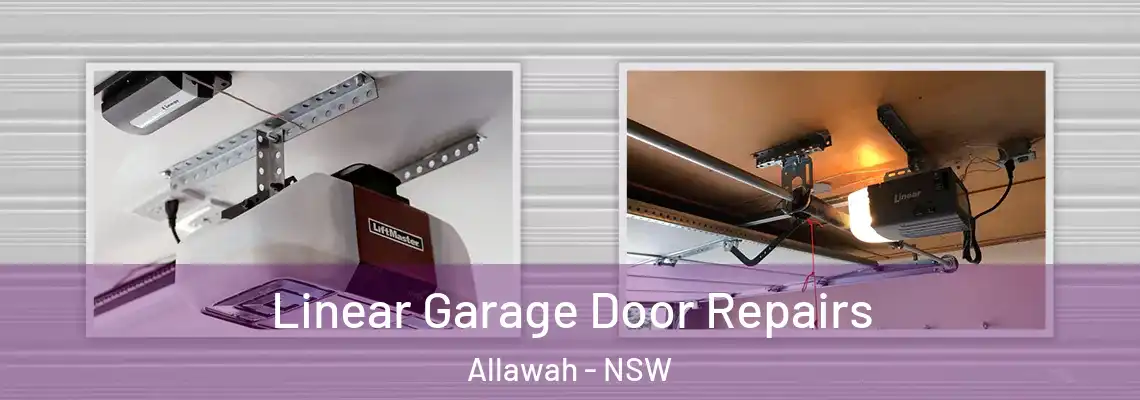 Linear Garage Door Repairs Allawah - NSW