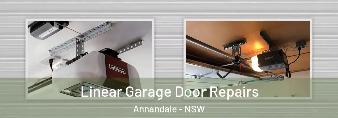 Linear Garage Door Repairs Annandale - NSW
