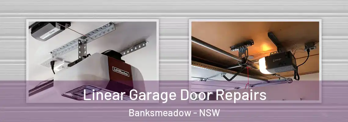 Linear Garage Door Repairs Banksmeadow - NSW