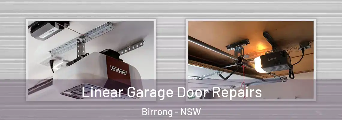 Linear Garage Door Repairs Birrong - NSW
