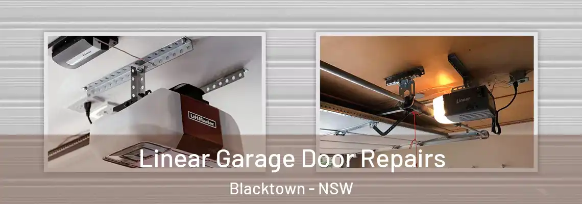 Linear Garage Door Repairs Blacktown - NSW
