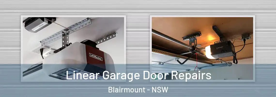 Linear Garage Door Repairs Blairmount - NSW