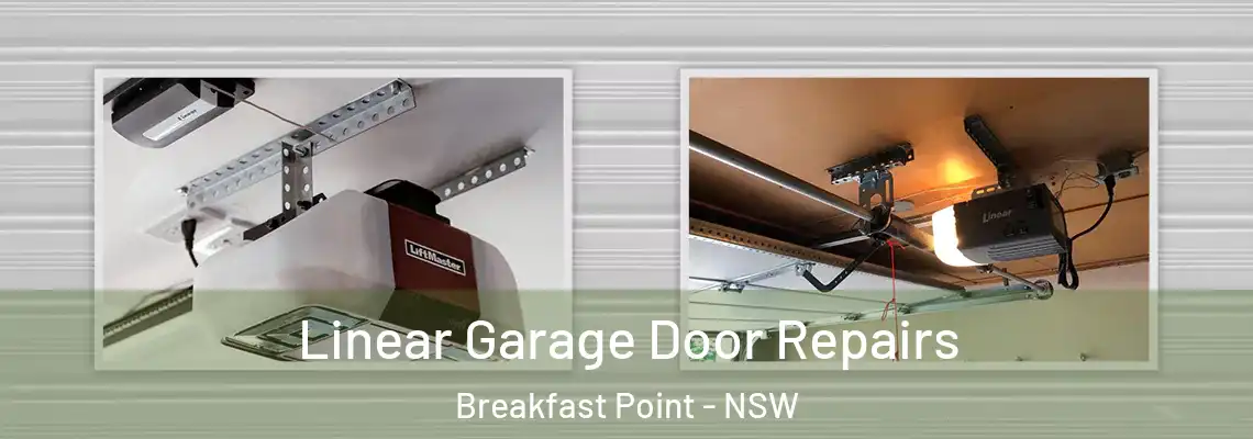 Linear Garage Door Repairs Breakfast Point - NSW