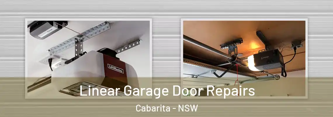Linear Garage Door Repairs Cabarita - NSW