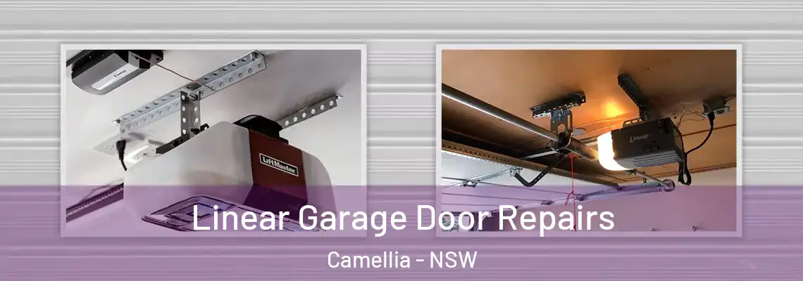 Linear Garage Door Repairs Camellia - NSW