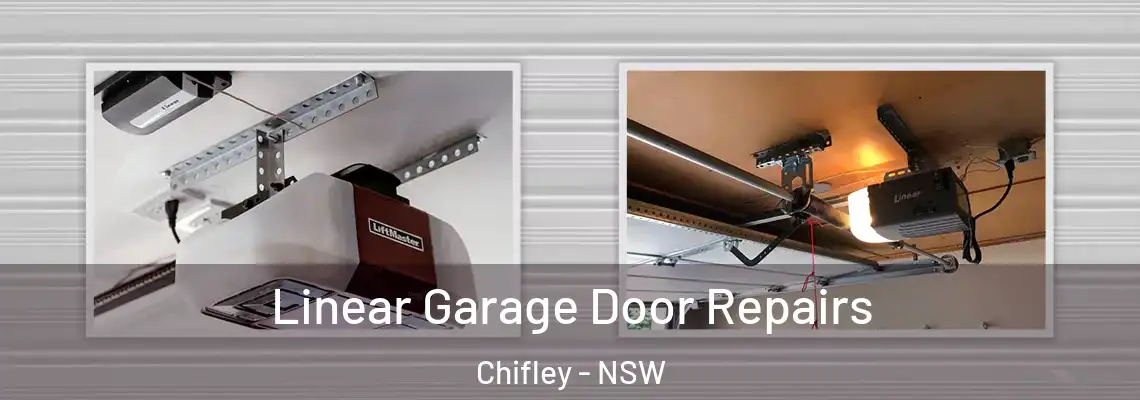 Linear Garage Door Repairs Chifley - NSW