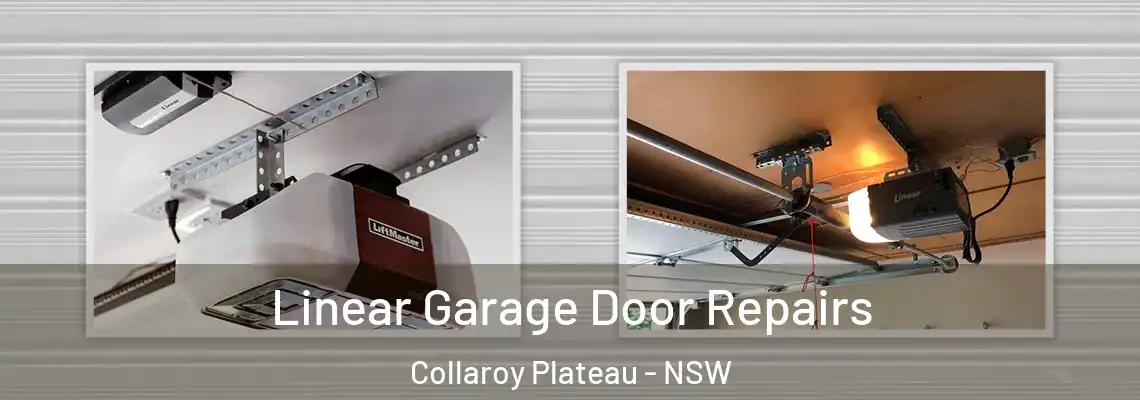 Linear Garage Door Repairs Collaroy Plateau - NSW