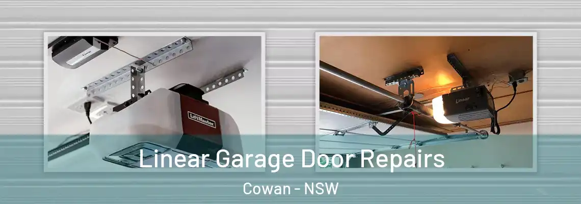 Linear Garage Door Repairs Cowan - NSW