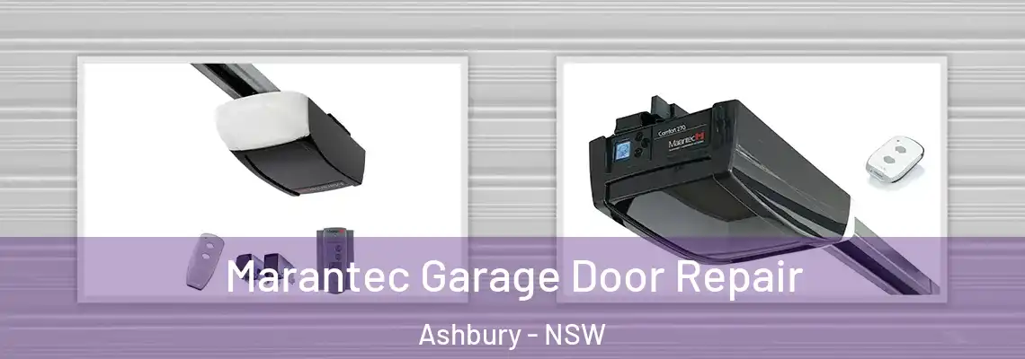 Marantec Garage Door Repair Ashbury - NSW