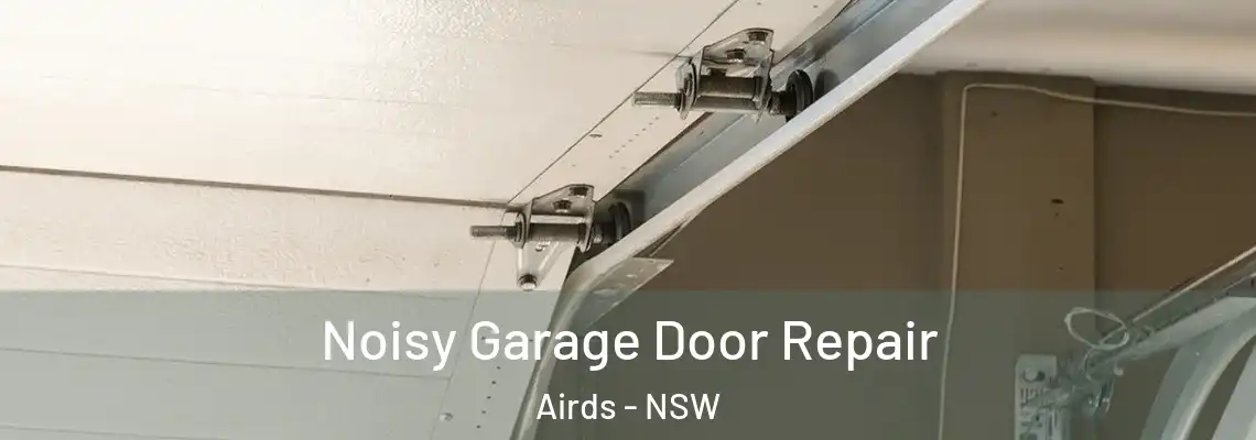 Noisy Garage Door Repair Airds - NSW