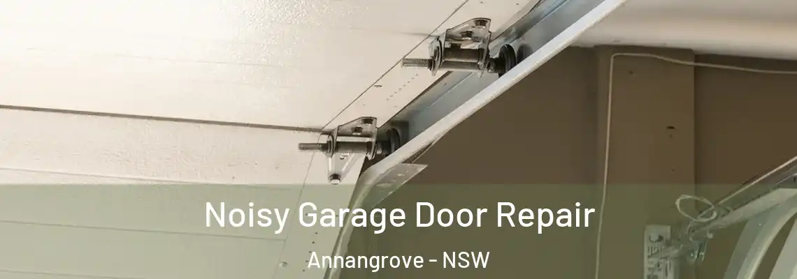 Noisy Garage Door Repair Annangrove - NSW