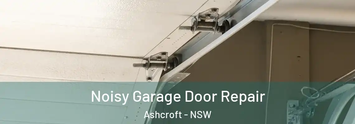 Noisy Garage Door Repair Ashcroft - NSW