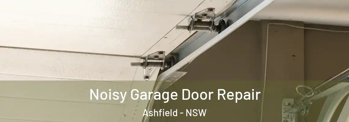 Noisy Garage Door Repair Ashfield - NSW