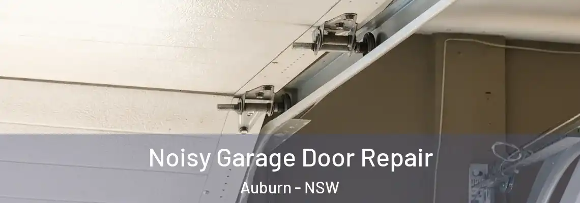 Noisy Garage Door Repair Auburn - NSW