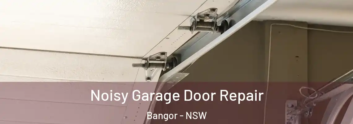 Noisy Garage Door Repair Bangor - NSW