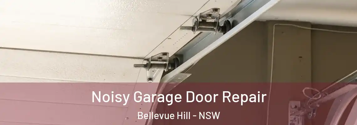 Noisy Garage Door Repair Bellevue Hill - NSW