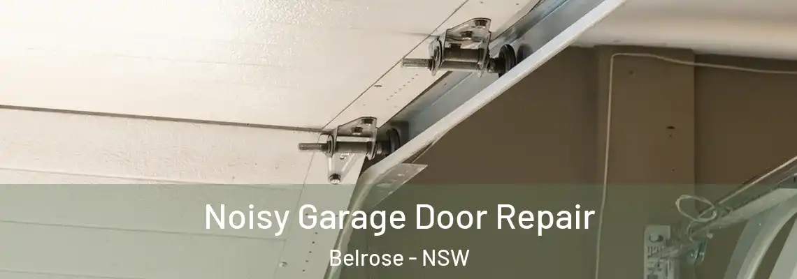 Noisy Garage Door Repair Belrose - NSW