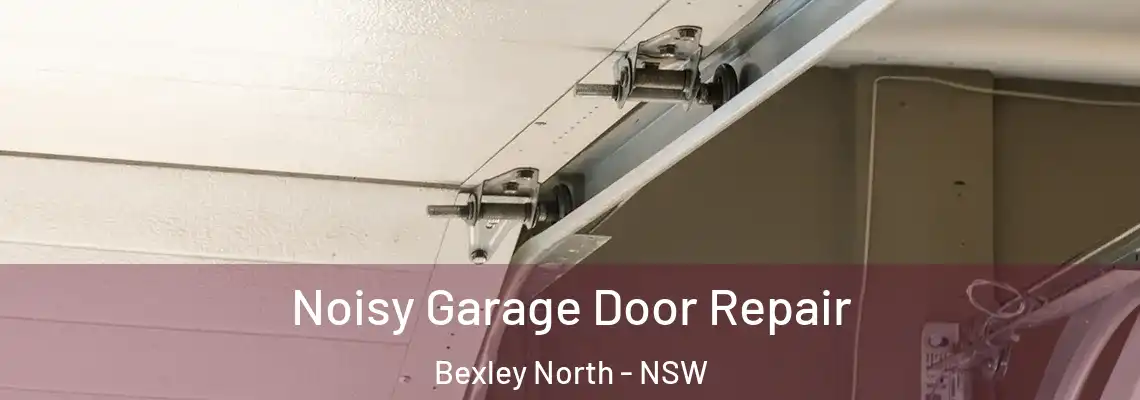 Noisy Garage Door Repair Bexley North - NSW